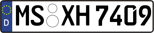 MS-XH7409
