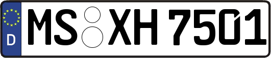 MS-XH7501