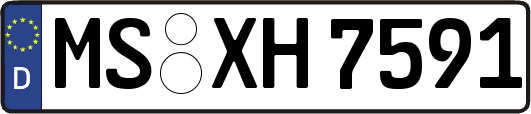 MS-XH7591