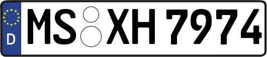 MS-XH7974