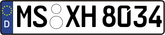 MS-XH8034