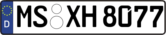 MS-XH8077
