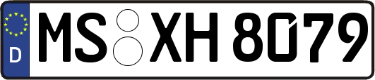 MS-XH8079