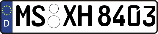 MS-XH8403