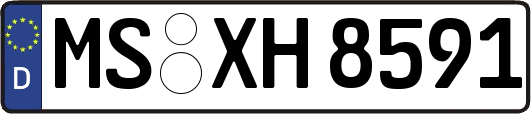 MS-XH8591