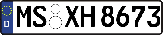MS-XH8673