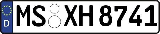 MS-XH8741