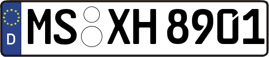 MS-XH8901