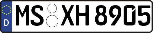 MS-XH8905