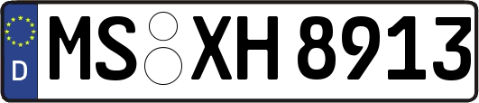 MS-XH8913