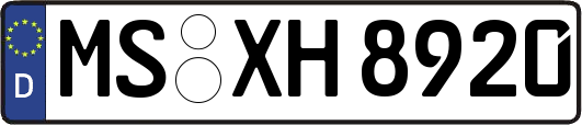 MS-XH8920