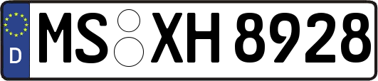 MS-XH8928