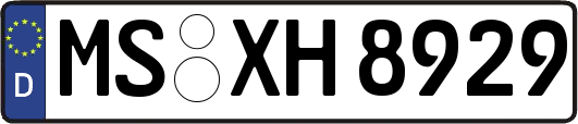 MS-XH8929