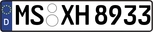 MS-XH8933