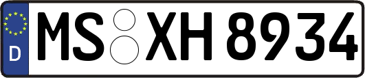 MS-XH8934