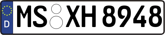 MS-XH8948