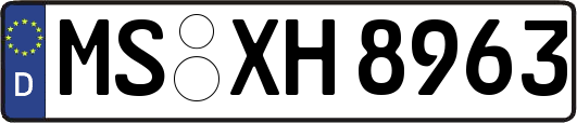 MS-XH8963