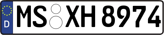 MS-XH8974