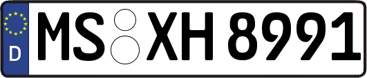 MS-XH8991