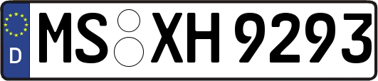 MS-XH9293
