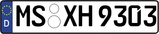MS-XH9303