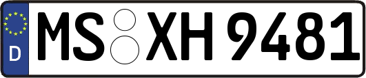 MS-XH9481