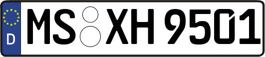 MS-XH9501