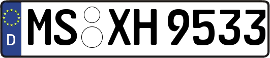 MS-XH9533
