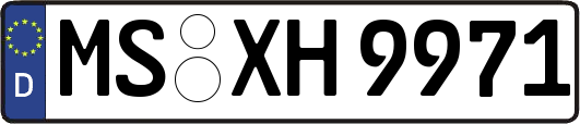 MS-XH9971