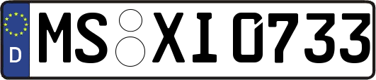 MS-XI0733