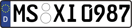 MS-XI0987