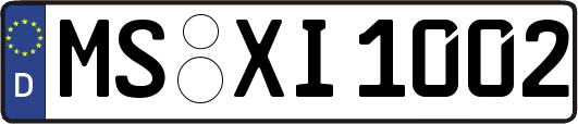 MS-XI1002