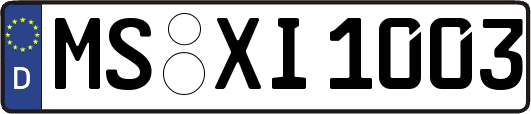 MS-XI1003