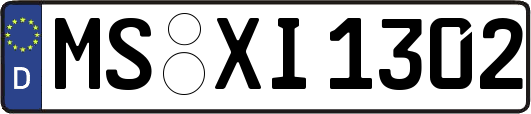MS-XI1302