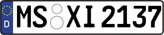 MS-XI2137