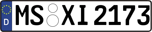 MS-XI2173