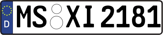 MS-XI2181