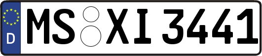 MS-XI3441
