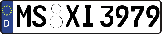 MS-XI3979