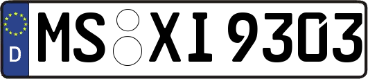 MS-XI9303