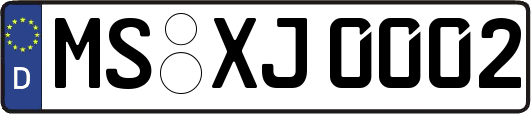 MS-XJ0002