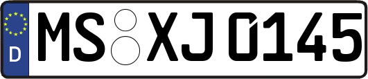 MS-XJ0145