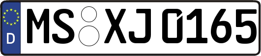 MS-XJ0165