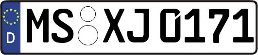 MS-XJ0171