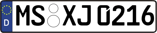 MS-XJ0216