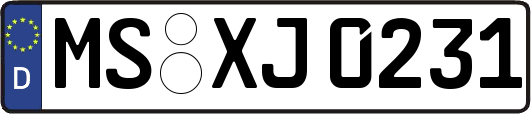 MS-XJ0231
