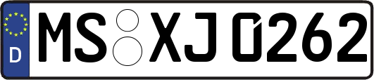 MS-XJ0262