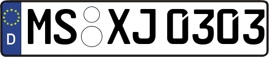 MS-XJ0303