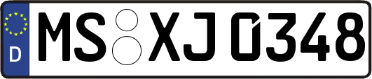 MS-XJ0348