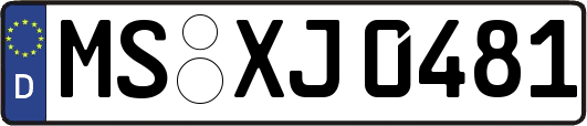 MS-XJ0481